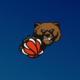 VSC Baskets Donauwörth